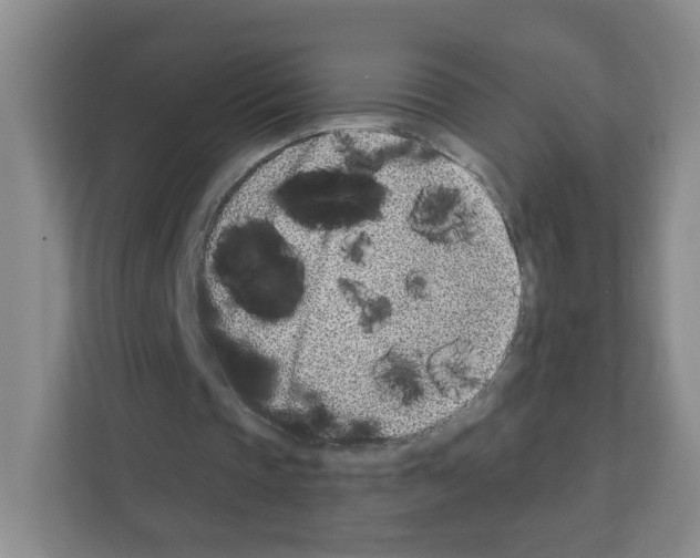 X0000111130337200908111043