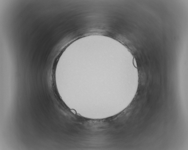 X0000111130338200908111043