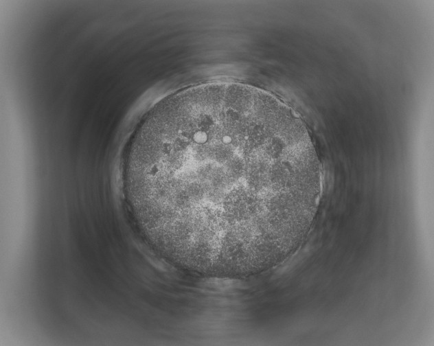 X0000111130339200908111043