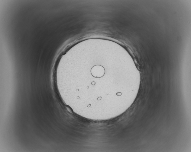 X0000111130340200908111043