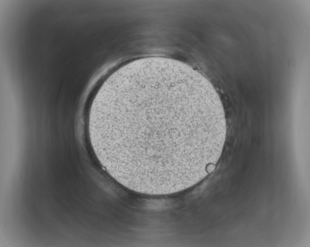 X0000111130342200908111043