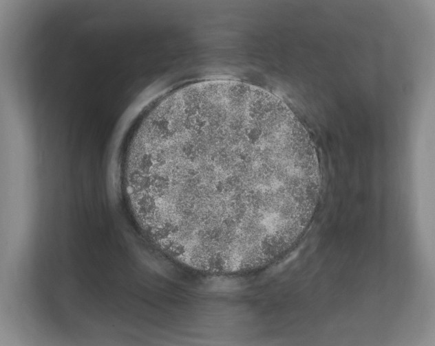 X0000111130343200908111043