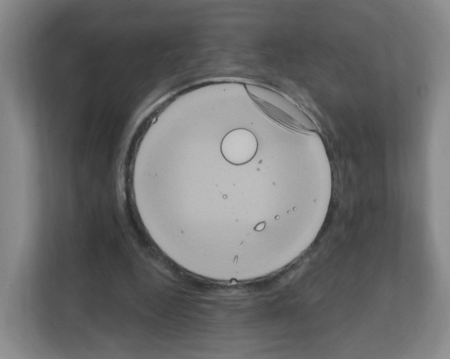 X0000111130344200908111043