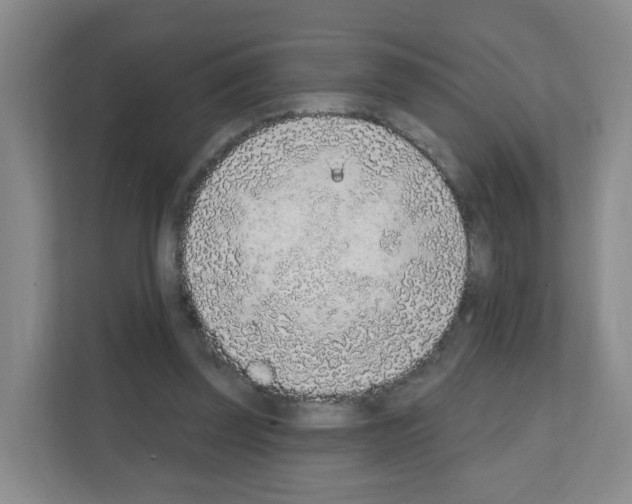 X0000111130347200908111043