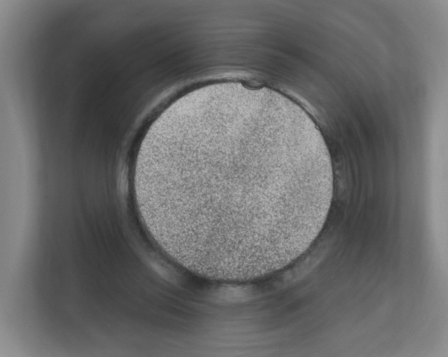 X0000111130350200908111043