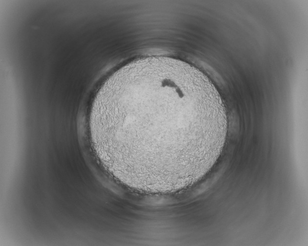 X0000111130351200908111043