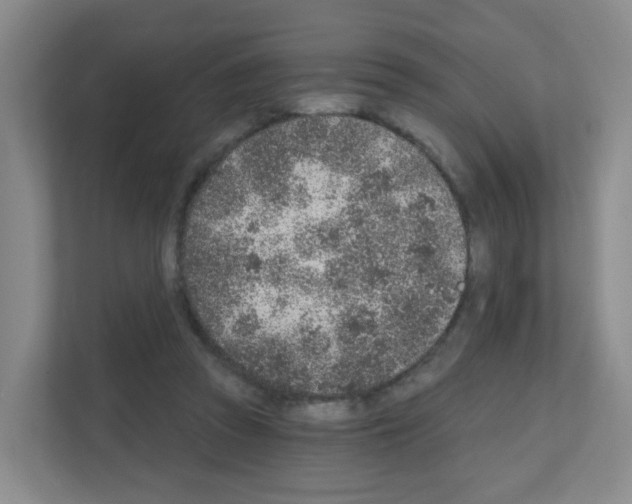 X0000111130353200908111043