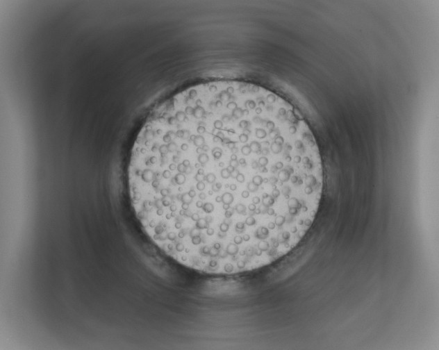 X0000111130354200908111043