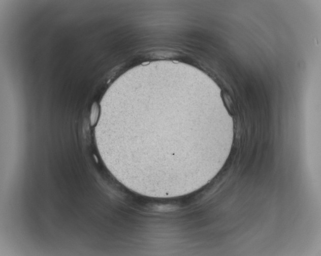 X0000111130360200908111043