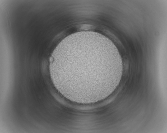 X0000111130361200908111043