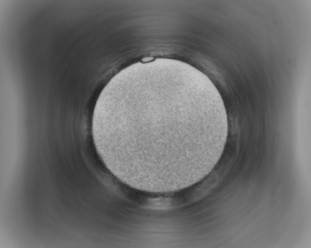 X0000111130362200908111043