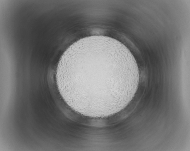 X0000111130363200908111043