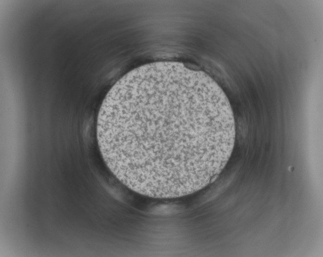 X0000111130364200908111043