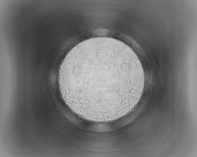 X0000111130365200908111043