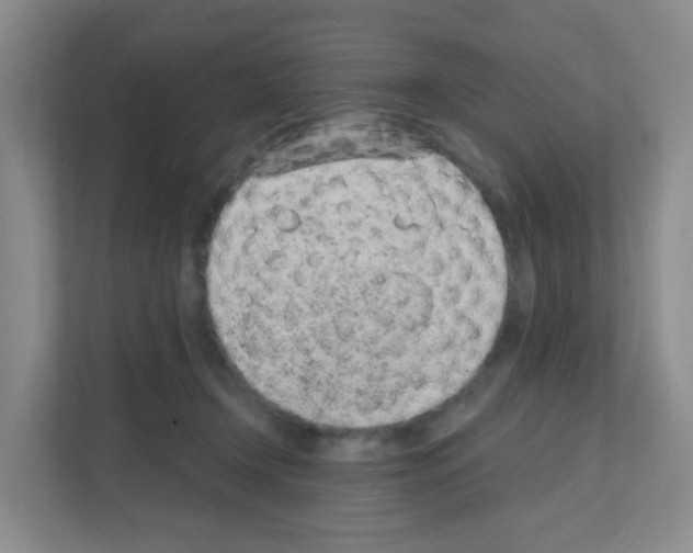 X0000111130366200908111043