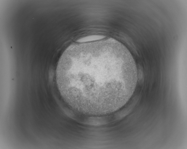 X0000111130367200908111044