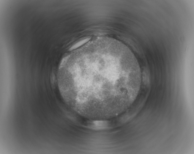 X0000111130371200908111044