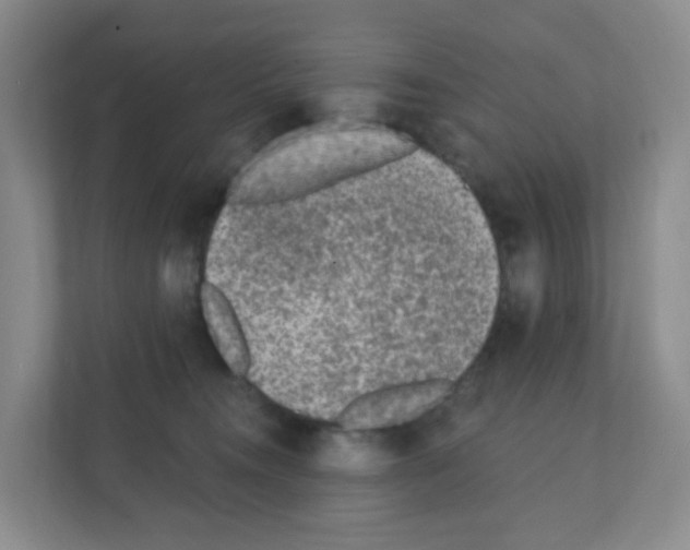 X0000111130372200908111044