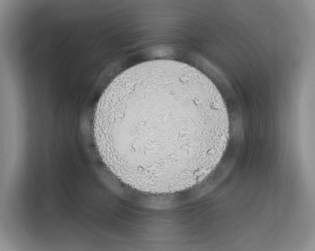 X0000111130373200908111044