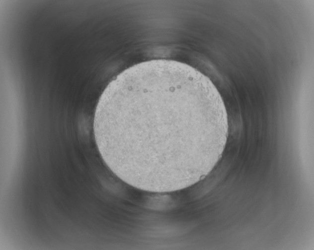 X0000111130374200908111044