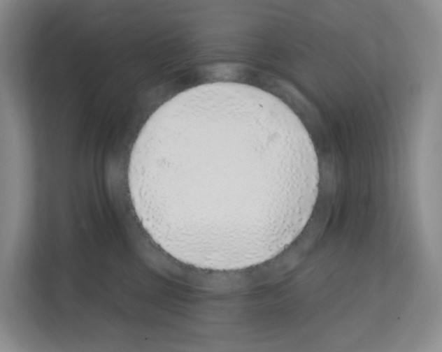 X0000111130377200908111044