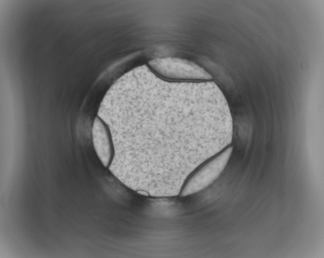 X0000111130380200908111044