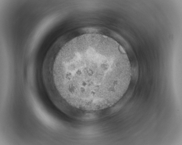 X0000111130381200908111044