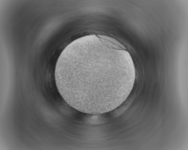 X0000111130382200908111044