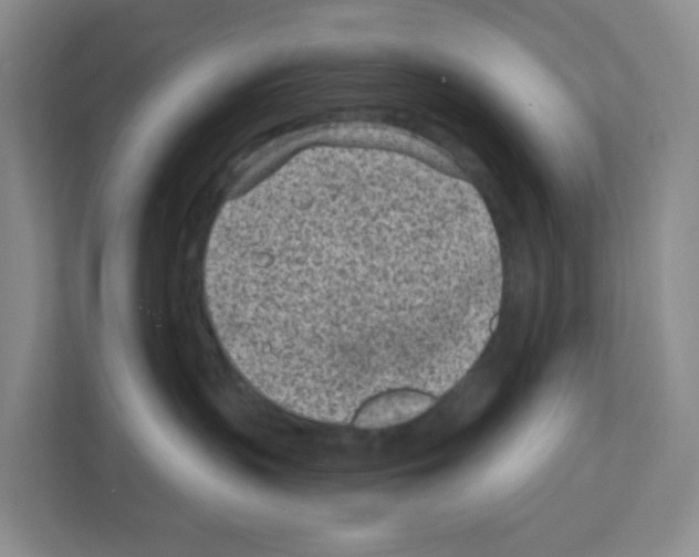 X0000111130383200908111044
