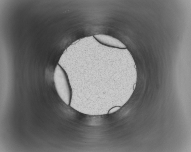X0000111130384200908111044