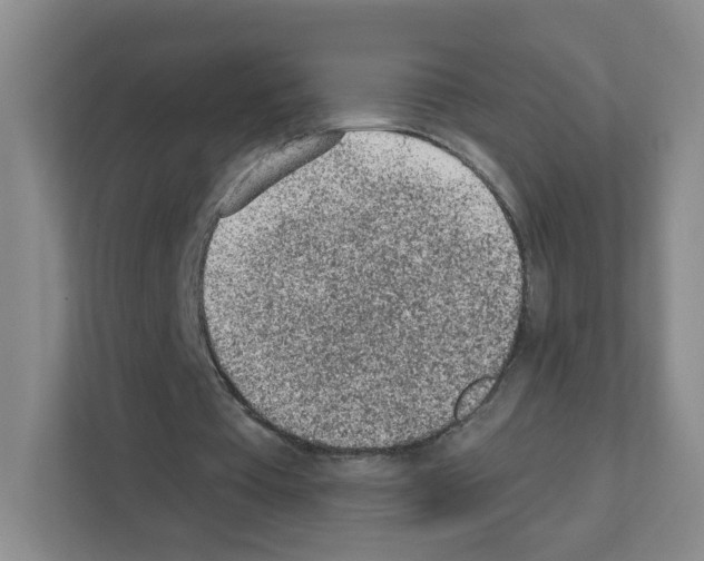 X0000111130385200908111043