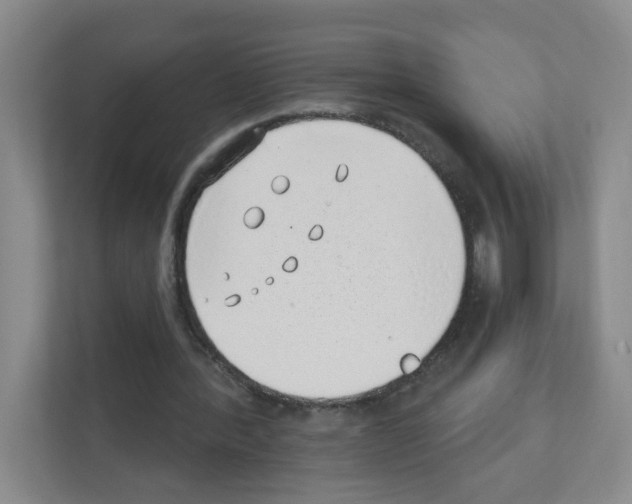X0000111130388200908111043