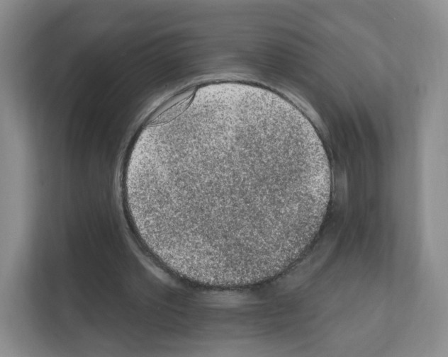 X0000111130389200908111043