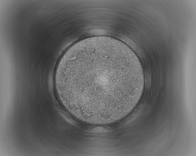 X0000111130390200908111043