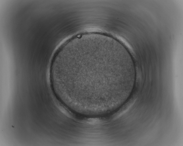 X0000111130391200908111043
