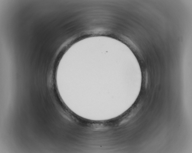 X0000111130392200908111043