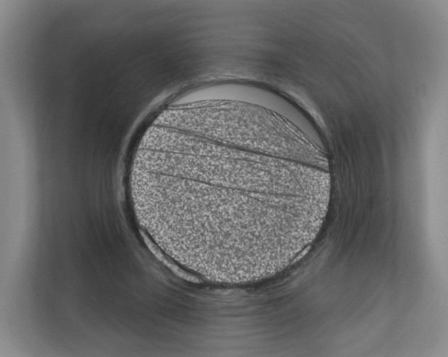 X0000111130395200908111043