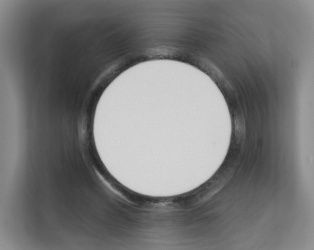 X0000111130396200908111043
