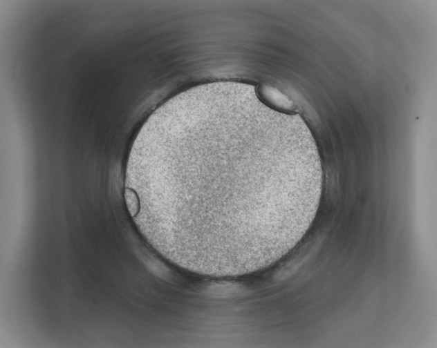 X0000111130397200908111043