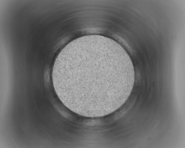 X0000111130398200908111043