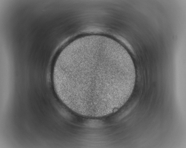 X0000111130399200908111043