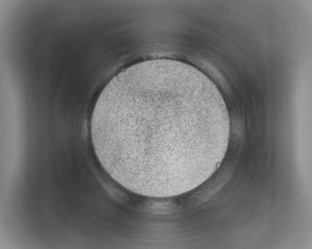 X0000111130401200908111043