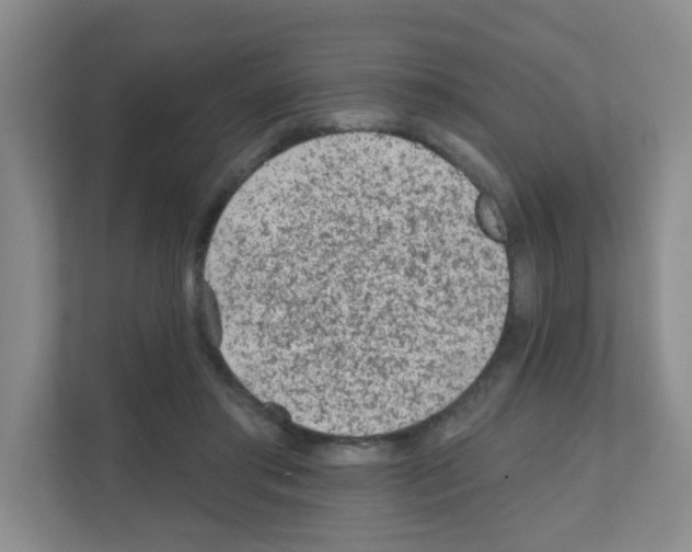 X0000111130405200908111043