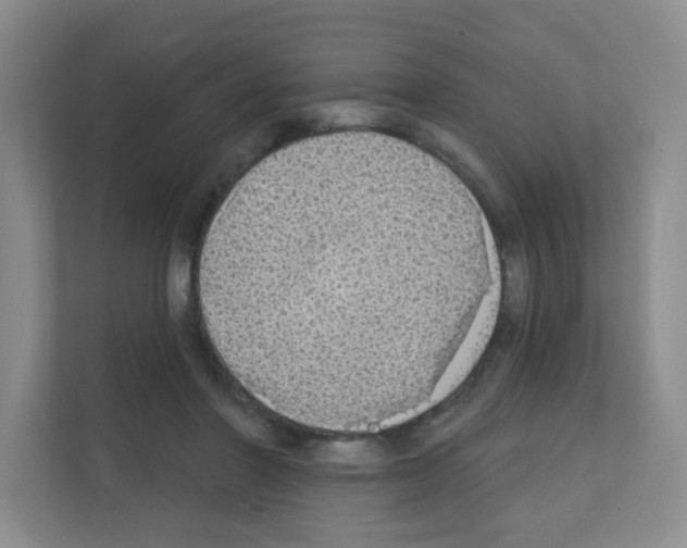 X0000111130406200908111043