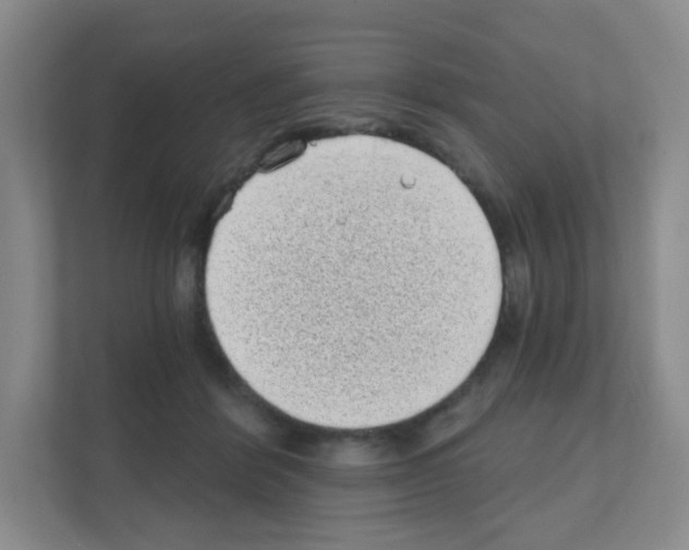 X0000111130412200908111043