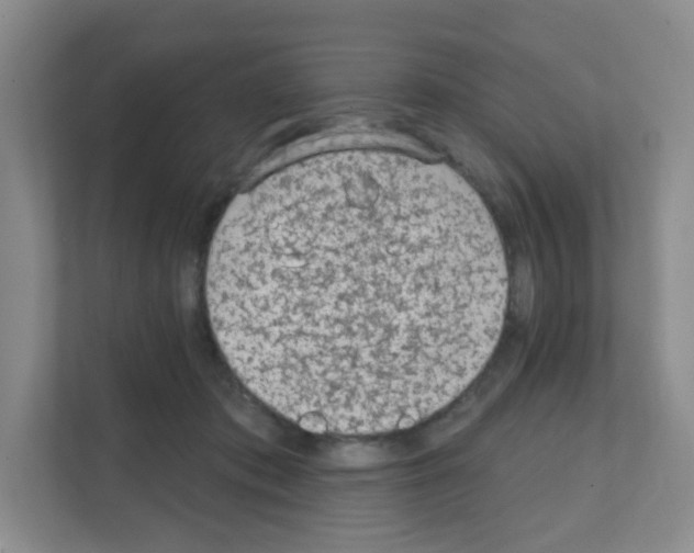 X0000111130413200908111043