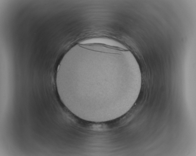 X0000111130415200908111043