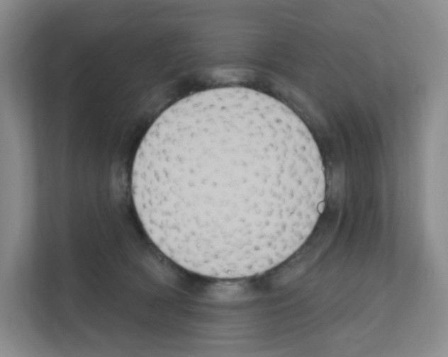 X0000111130418200908111043