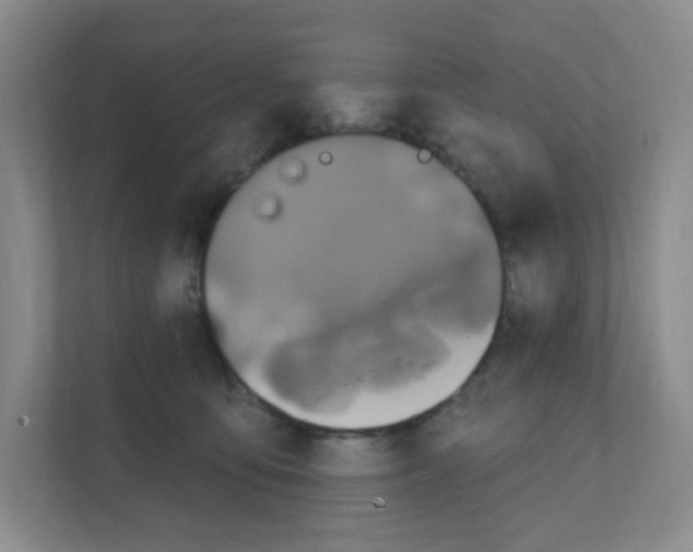 X0000111130419200908111043