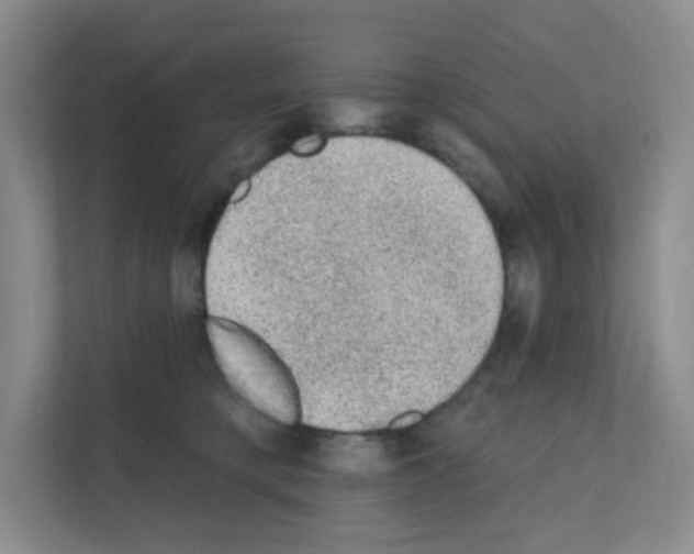 X0000111130421200908111043